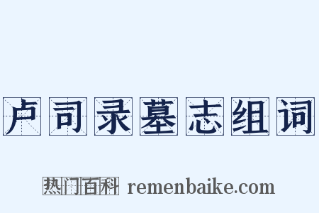 卢司录墓志组词是什么意思的图片